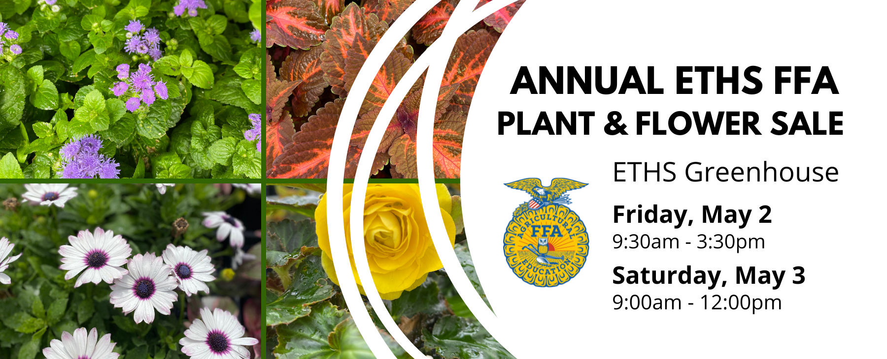 FFA Plant Sale